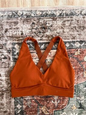 Fabletics Terracota Sports Bra